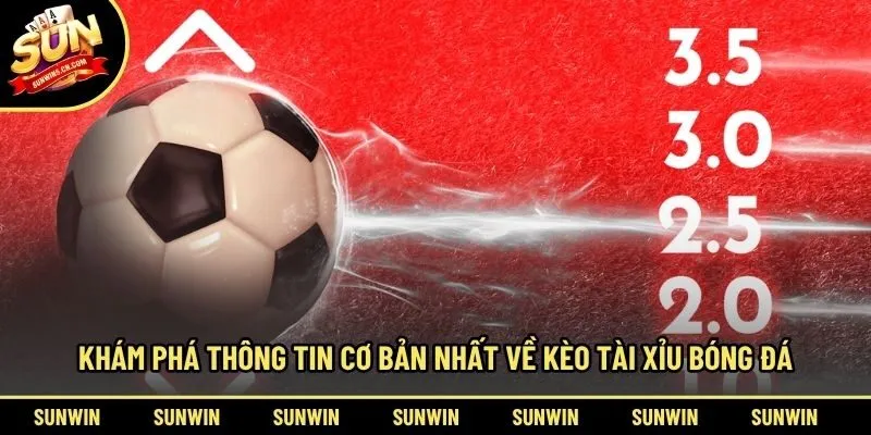 Khám phá thông tin cơ bản nhất về kèo tài xỉu bóng đá